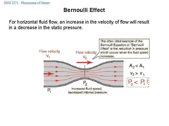 ISNS 3371 - Phenomena of Nature Bernoulli Effect For horizontal fluid flow, an increase