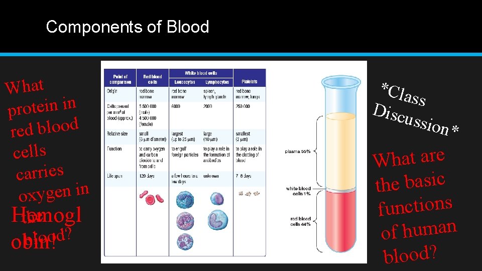 Components of Blood What protein in d o o l b d re cells