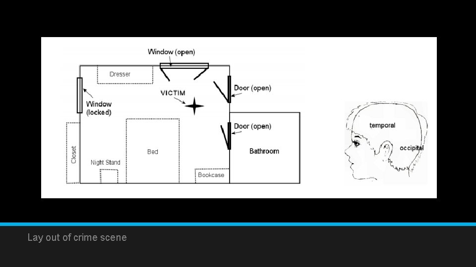 Lay out of crime scene 