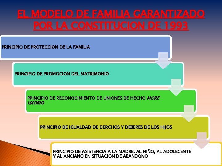 EL MODELO DE FAMILIA GARANTIZADO POR LA CONSTITUCION DE 1993 PRINCIPIO DE PROTECCION DE