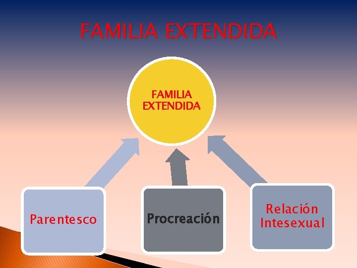 FAMILIA EXTENDIDA Parentesco Procreación Relación Intesexual 