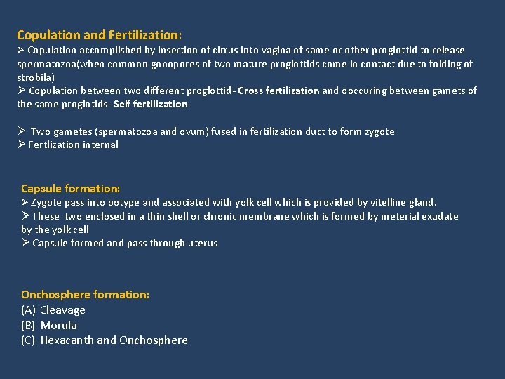 Copulation and Fertilization: Ø Copulation accomplished by insertion of cirrus into vagina of same