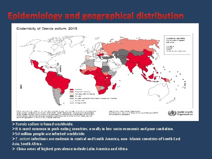 Epidemiology and geographical distribution ØTaenia solium is found worldwide. ØIt is most common in