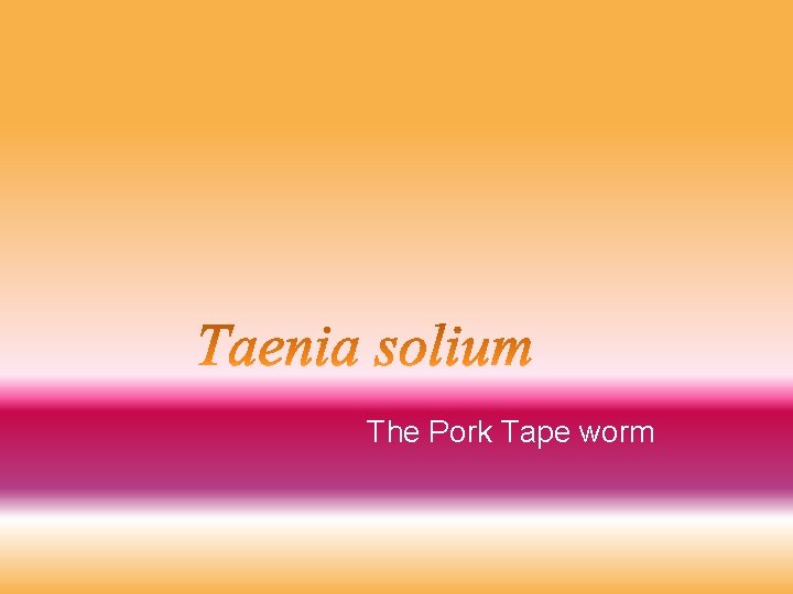The Pork Tape worm 