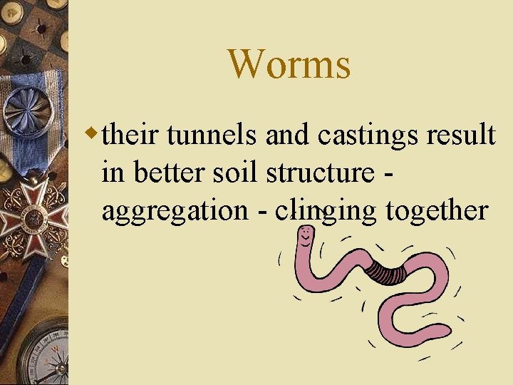 Worms wtheir tunnels and castings result in better soil structure aggregation - clinging together