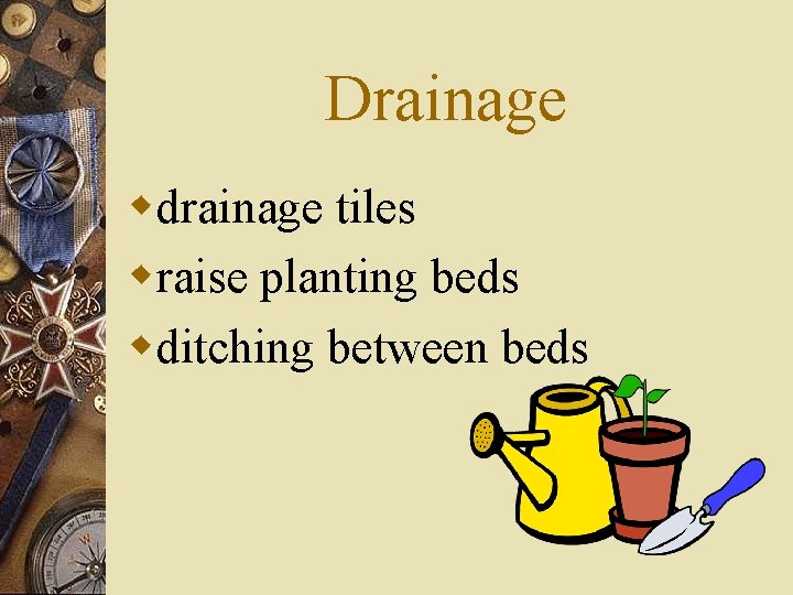 Drainage wdrainage tiles wraise planting beds wditching between beds 