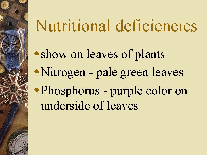 Nutritional deficiencies wshow on leaves of plants w. Nitrogen - pale green leaves w.