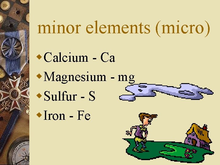 minor elements (micro) w. Calcium - Ca w. Magnesium - mg w. Sulfur -