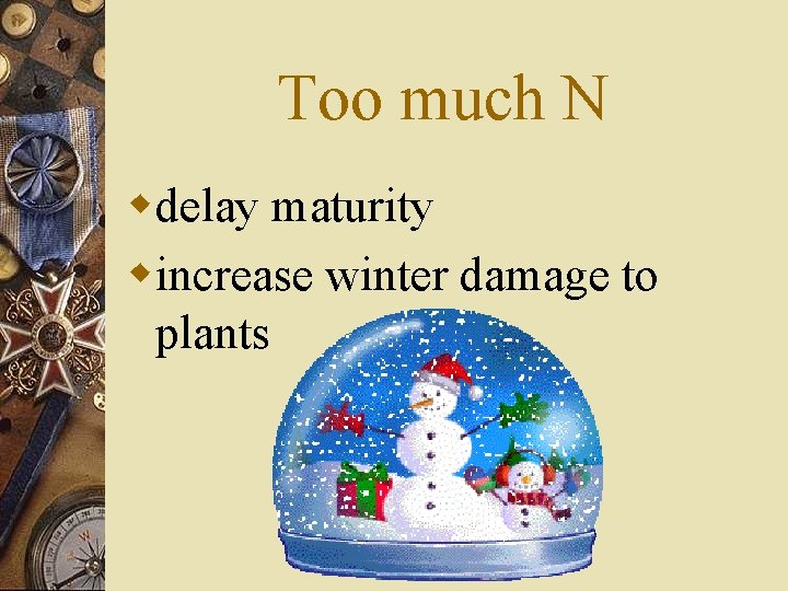 Too much N wdelay maturity wincrease winter damage to plants 