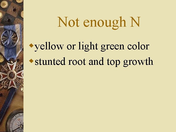 Not enough N wyellow or light green color wstunted root and top growth 