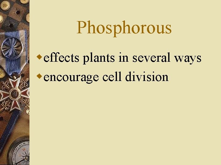 Phosphorous weffects plants in several ways wencourage cell division 