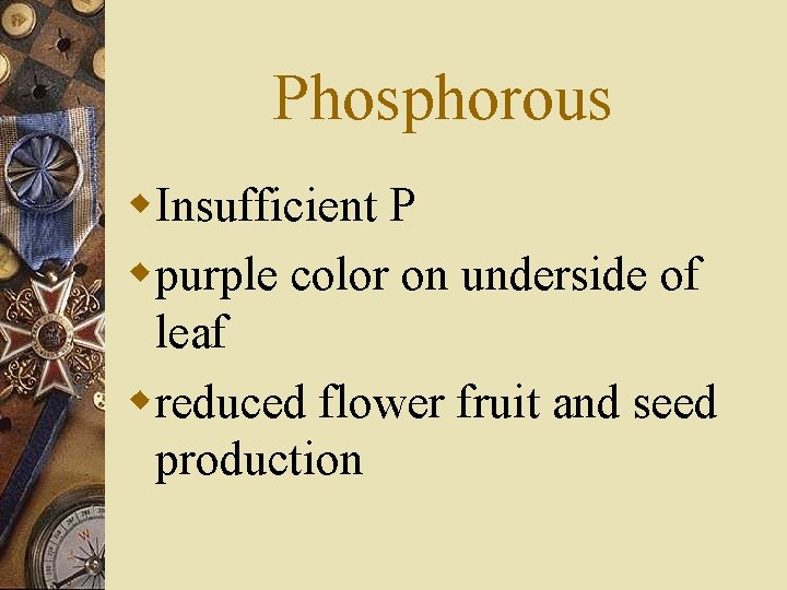 Phosphorous w. Insufficient P wpurple color on underside of leaf wreduced flower fruit and