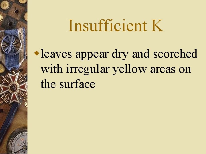 Insufficient K wleaves appear dry and scorched with irregular yellow areas on the surface