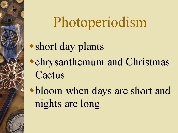 Photoperiodism wshort day plants wchrysanthemum and Christmas Cactus wbloom when days are short and