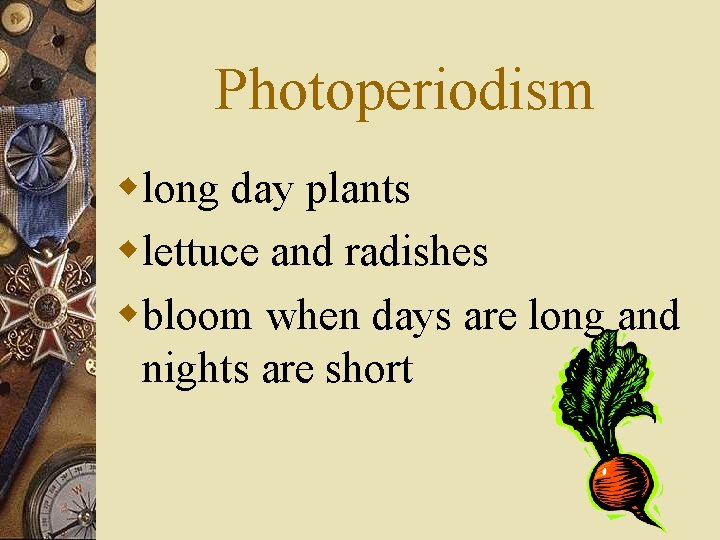 Photoperiodism wlong day plants wlettuce and radishes wbloom when days are long and nights