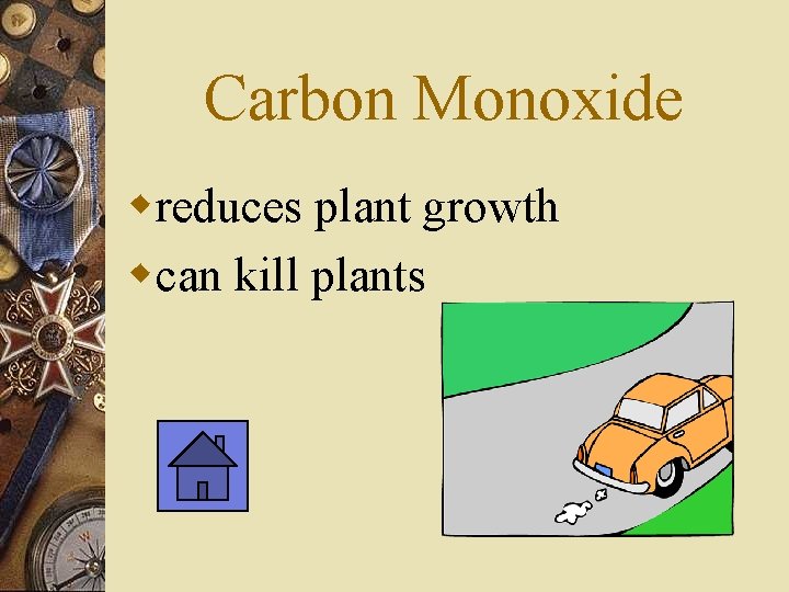 Carbon Monoxide wreduces plant growth wcan kill plants 