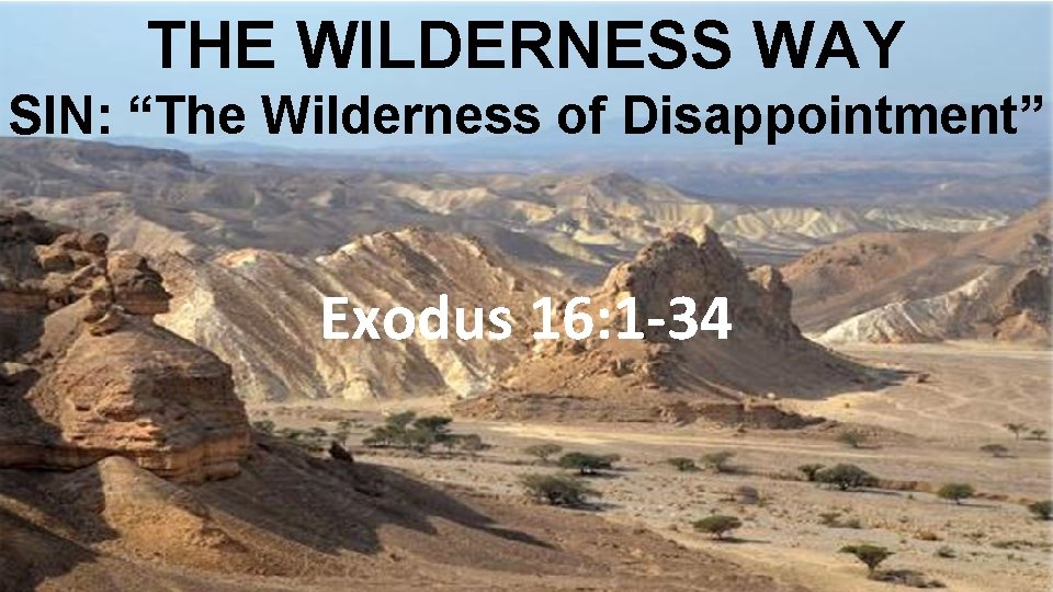 THE WILDERNESS WAY SIN: “The Wilderness of Disappointment” Exodus 16: 1 -34 