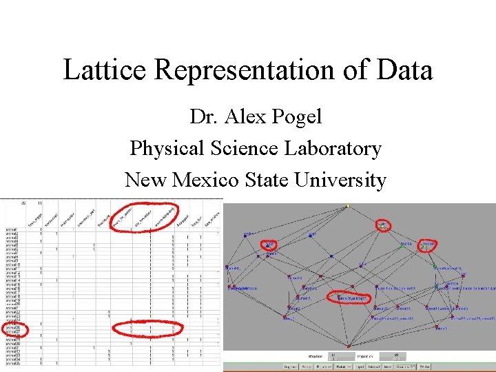 Lattice Representation of Data Dr. Alex Pogel Physical Science Laboratory New Mexico State University