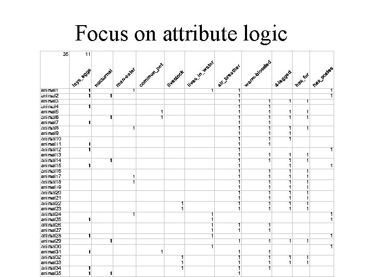 Focus on attribute logic 