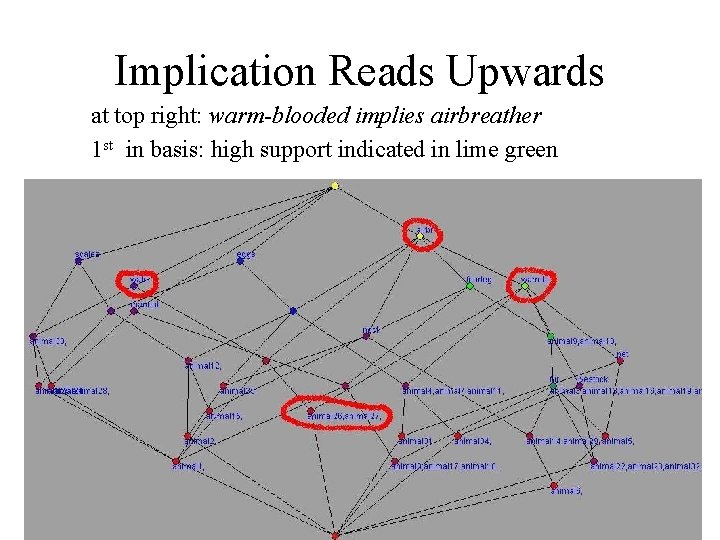 Implication Reads Upwards at top right: warm-blooded implies airbreather 1 st in basis: high