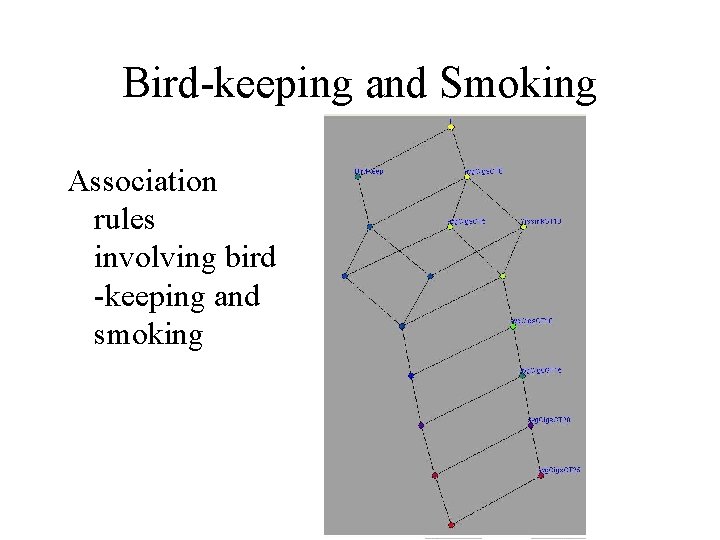 Bird-keeping and Smoking Association rules involving bird -keeping and smoking 