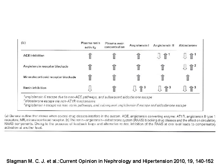 Slagman M. C. J. et al. : Current Opinion in Nephrology and Hipertension 2010,