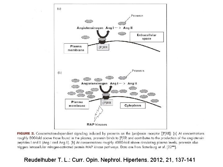Reudelhuber T. L. : Curr. Opin. Nephrol. Hipertens. 2012, 21, 137 -141 