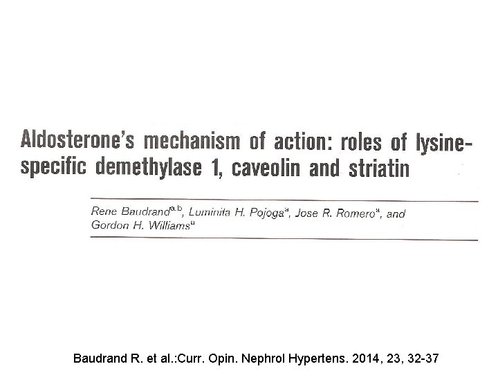 Baudrand R. et al. : Curr. Opin. Nephrol Hypertens. 2014, 23, 32 -37 