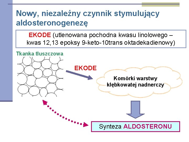 Nowy, niezależny czynnik stymulujący aldosteronogenezę EKODE (utlenowana pochodna kwasu linolowego – kwas 12, 13