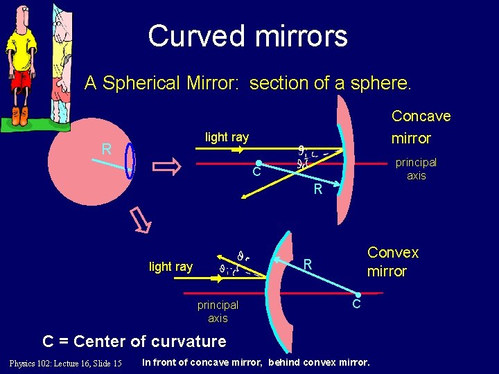 Curved mirrors A Spherical Mirror: section of a sphere. Concave mirror light ray R