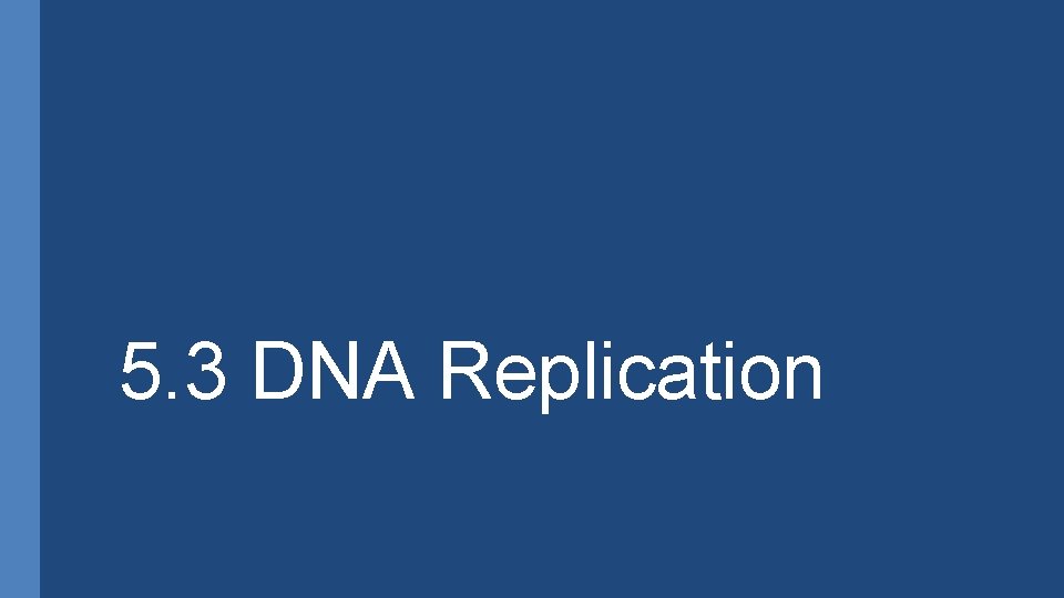 5. 3 DNA Replication 