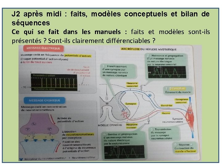 J 2 après midi : faits, modèles conceptuels et bilan de séquences Ce qui J 2 après midi : faits, modèles conceptuels et bilan de séquences Ce qui