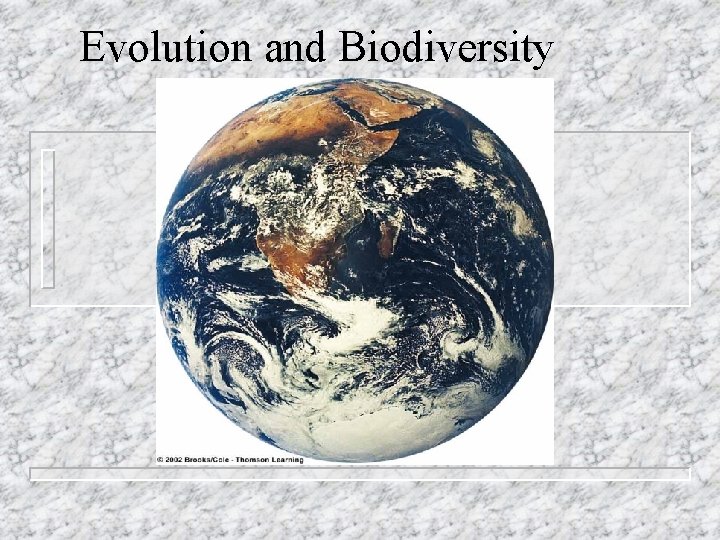 Evolution and Biodiversity 