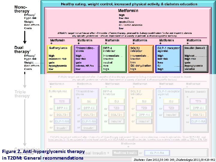 Figure 2. Anti-hyperglycemic therapy in T 2 DM: General recommendations Diabetes Care 2015; 38: