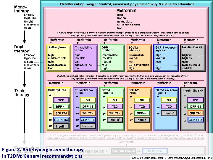 Figure 2. Anti-hyperglycemic therapy in T 2 DM: General recommendations Diabetes Care 2015; 38: