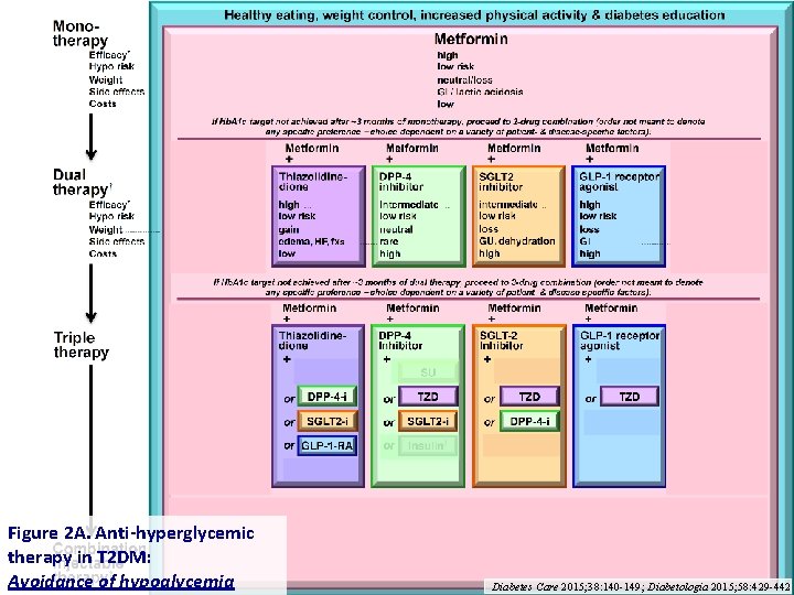 Figure 2 A. Anti-hyperglycemic therapy in T 2 DM: Avoidance of hypoglycemia Diabetes Care