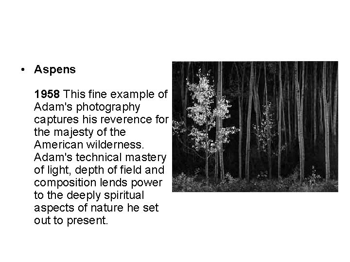  • Aspens 1958 This fine example of Adam's photography captures his reverence for