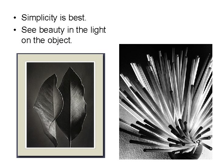  • Simplicity is best. • See beauty in the light on the object.