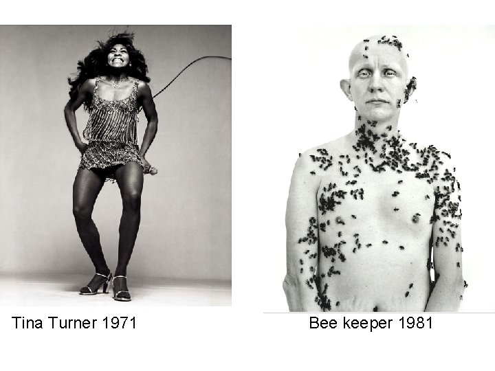 Tina Turner 1971 Bee keeper 1981 
