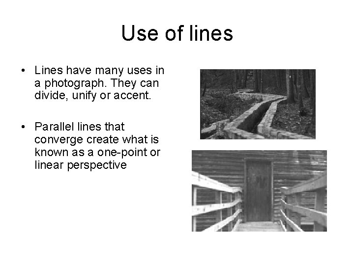 Use of lines • Lines have many uses in a photograph. They can divide,