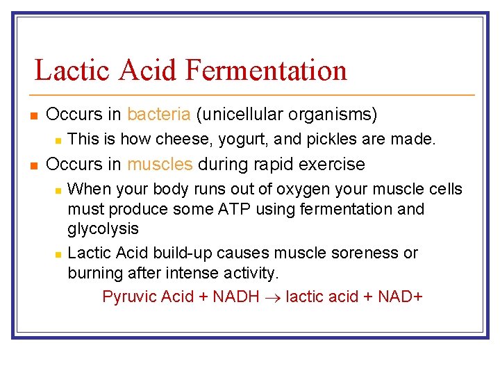 Lactic Acid Fermentation n Occurs in bacteria (unicellular organisms) n n This is how