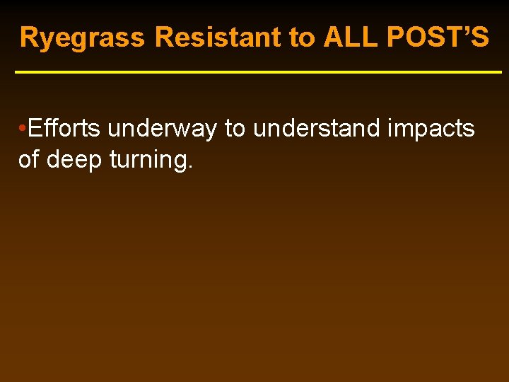Ryegrass Resistant to ALL POST’S • Efforts underway to understand impacts of deep turning. Ryegrass Resistant to ALL POST’S • Efforts underway to understand impacts of deep turning.