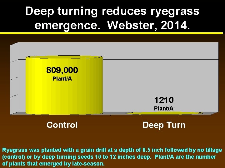 Deep turning reduces ryegrass emergence. Webster, 2014. 809, 000 Plant/A 1210 Plant/A Control Deep Deep turning reduces ryegrass emergence. Webster, 2014. 809, 000 Plant/A 1210 Plant/A Control Deep