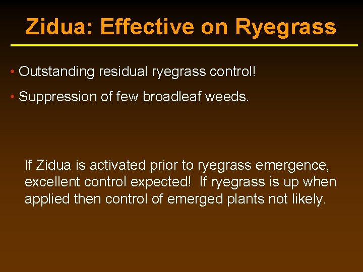 Zidua: Effective on Ryegrass • Outstanding residual ryegrass control! • Suppression of few broadleaf Zidua: Effective on Ryegrass • Outstanding residual ryegrass control! • Suppression of few broadleaf