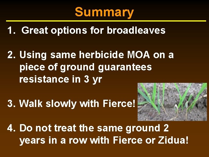 Summary 1. Great options for broadleaves 2. Using same herbicide MOA on a piece Summary 1. Great options for broadleaves 2. Using same herbicide MOA on a piece