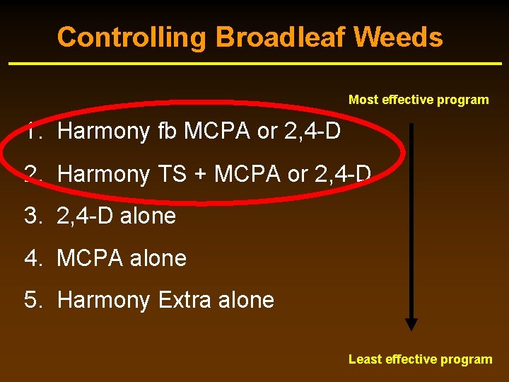 Controlling Broadleaf Weeds Most effective program 1. Harmony fb MCPA or 2, 4 -D Controlling Broadleaf Weeds Most effective program 1. Harmony fb MCPA or 2, 4 -D