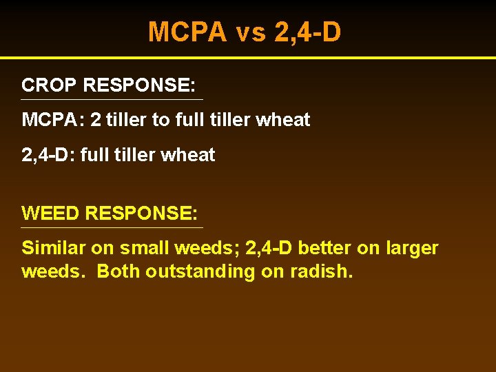 MCPA vs 2, 4 -D CROP RESPONSE: MCPA: 2 tiller to full tiller wheat MCPA vs 2, 4 -D CROP RESPONSE: MCPA: 2 tiller to full tiller wheat