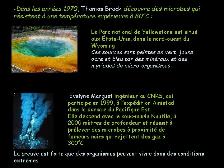 -Dans les années 1970, Thomas Brock découvre des microbes qui résistent à une température