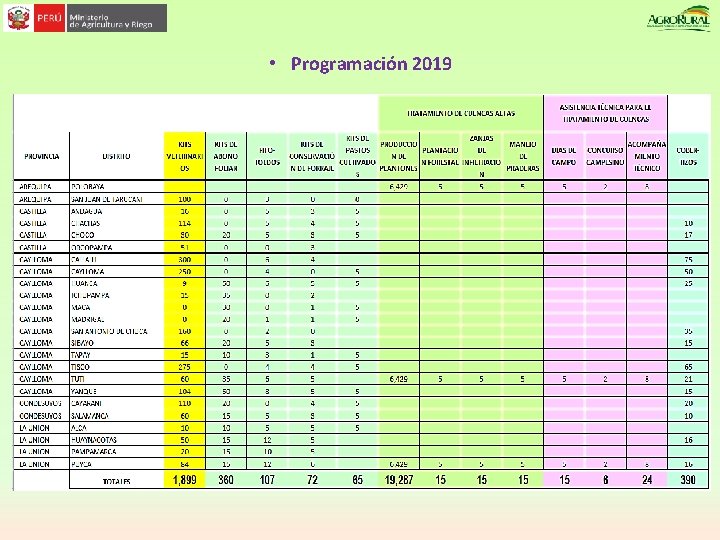  • Programación 2019 