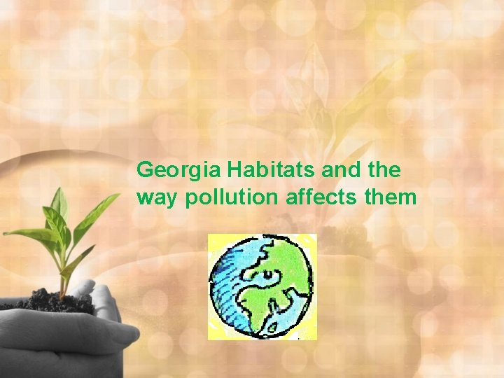 Georgia Habitats and the way pollution affects them 